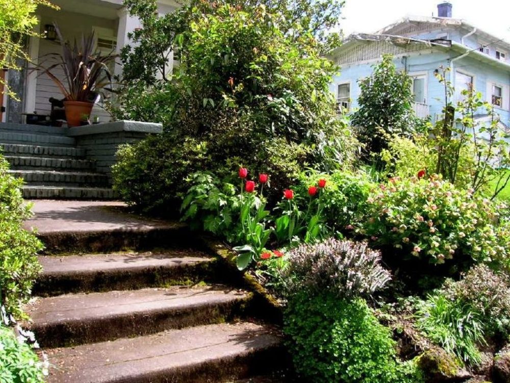 Stone garden steps winding through flowering plants
